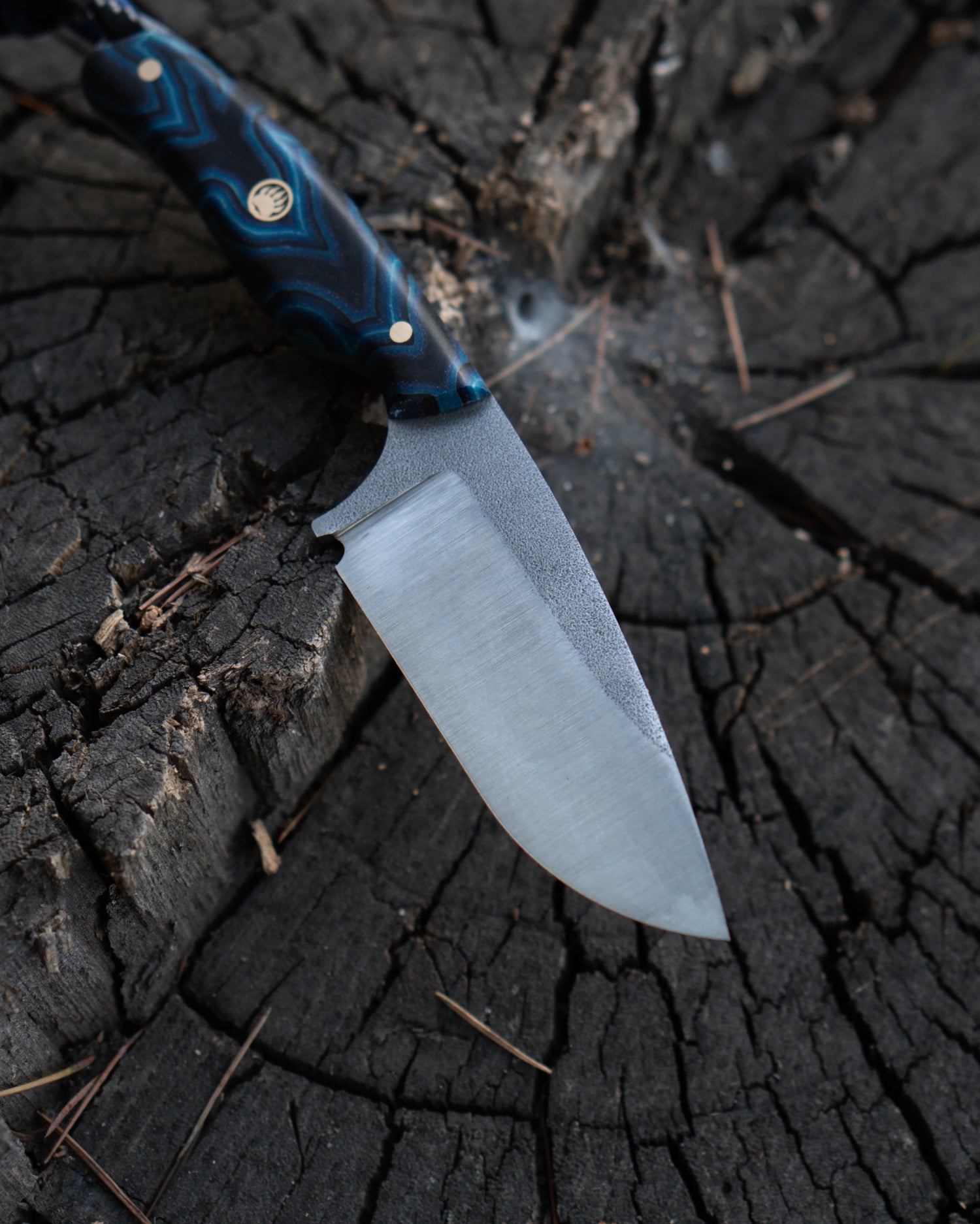 Robin - Mavi Micarta Kabza