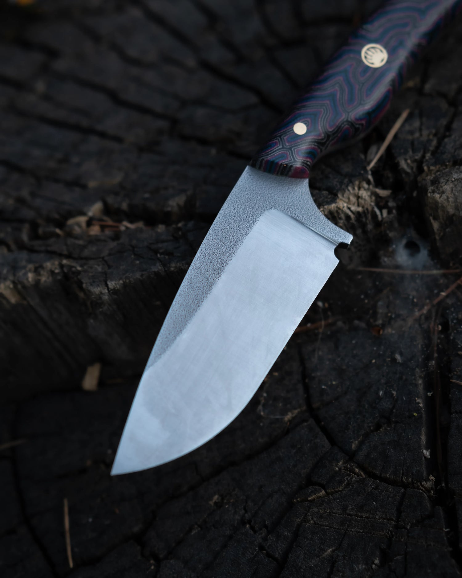 Robin - Mor Micarta Kabza